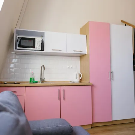 Apartment Bonapart Delux Lviv
