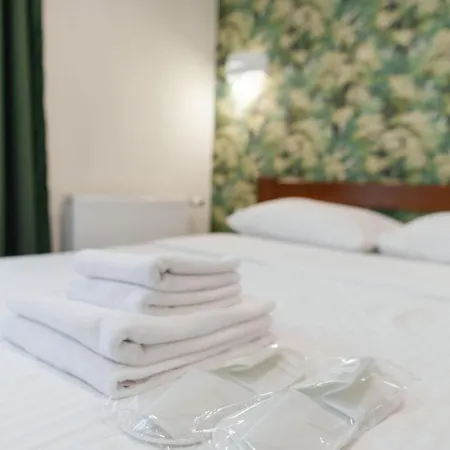 Apartment Bonapart Delux